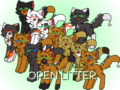 RavenFeather Open Litter