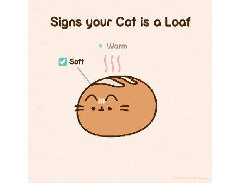 Pusheen loaf