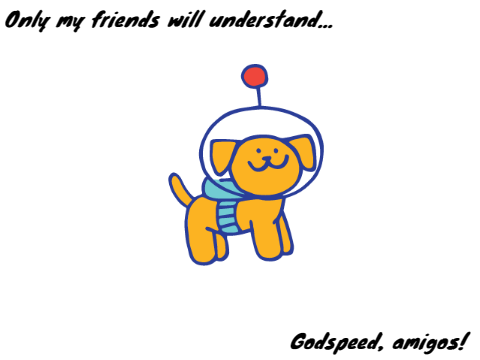 I'm sorry.
