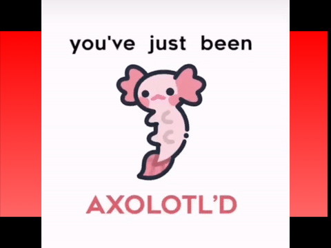 You've just been Axolotl'd 