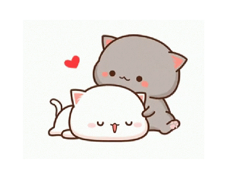 Licking Cats (really CUTE!)