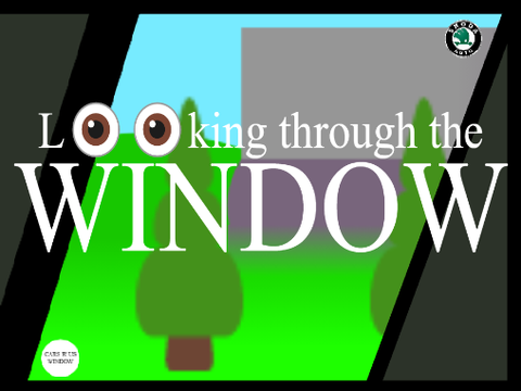 Looking through the window