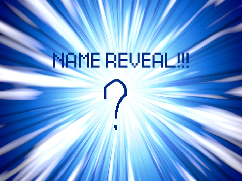 Name Reveal....