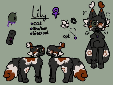 My new and shiny ref