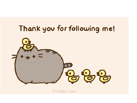 To my AMAZING followers!!!