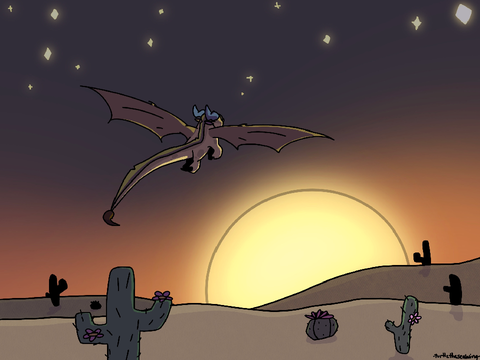 AT for @YouLocalSunwing