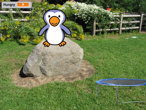 Penguin needs care