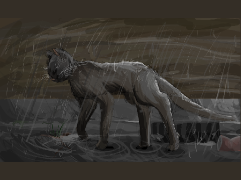 Stray