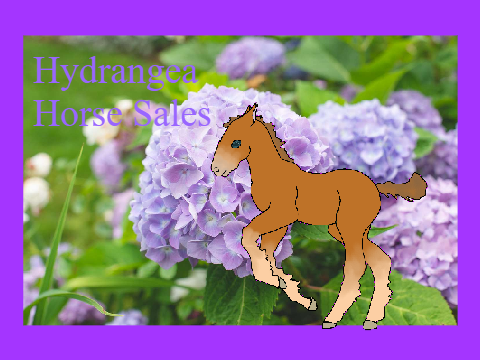 {Est. 4/2023}[RESTOCK]♞Hydrangea Horse Sales♞