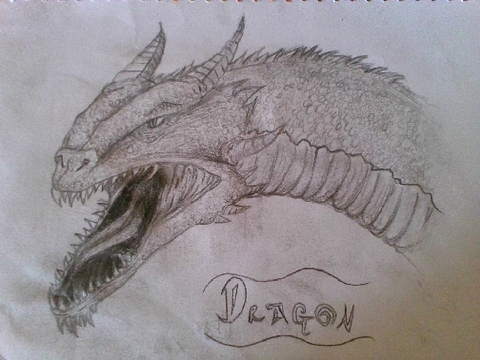 Art Contest LEVEL 1 Entry (By Indy)