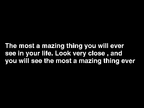 The most amazing thing ever