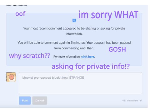 banned from commenting!? private info? 5 MINS!