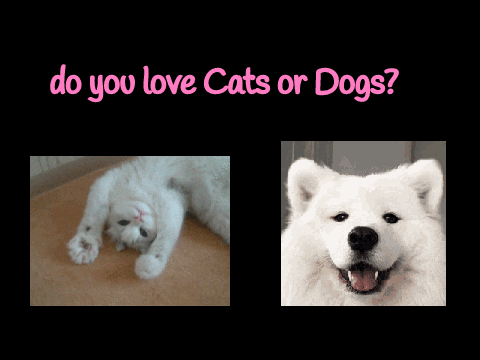 do you love Cats or Dogs?