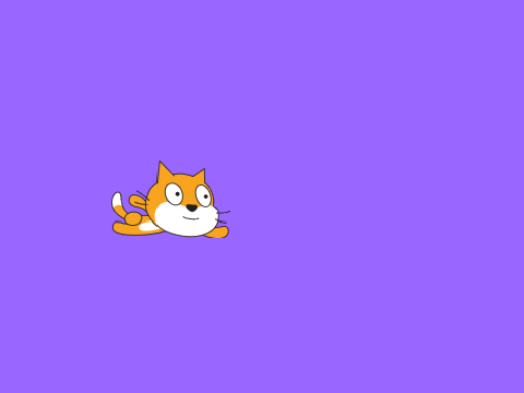 Flying Cat