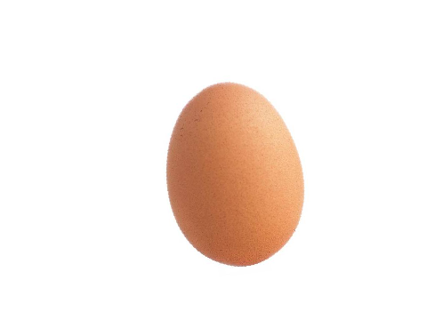 Voice Spinning Egg