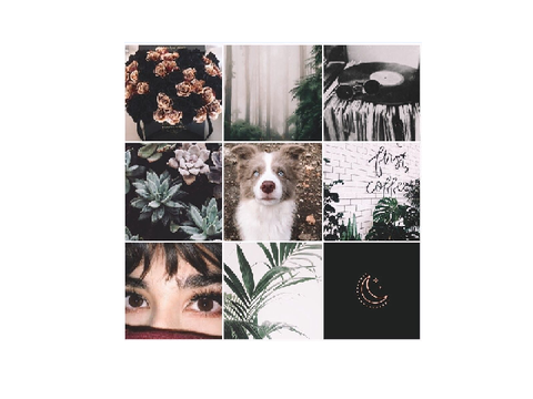 moodboards
