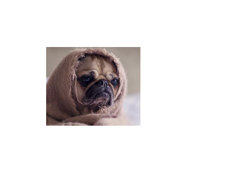 click space to see memes