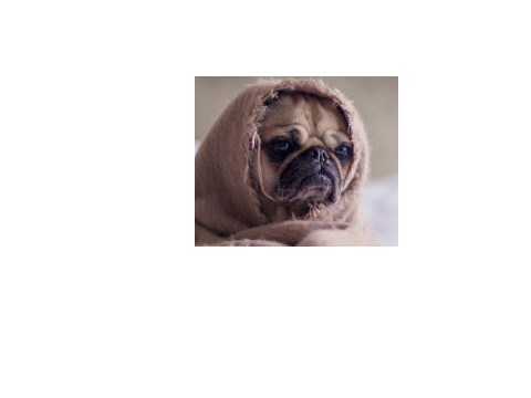 my old pfp