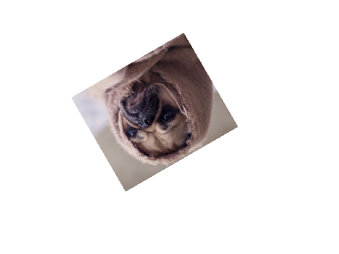 my old pfp