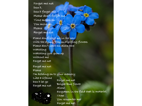 Forget Me Not