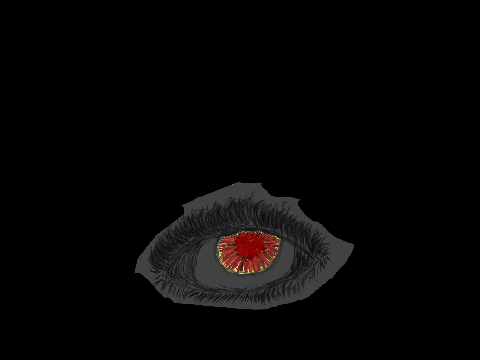 my eyes