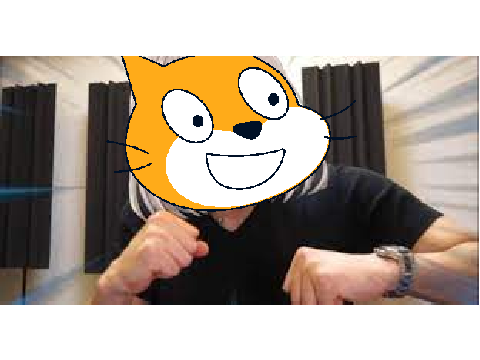 左フック猫