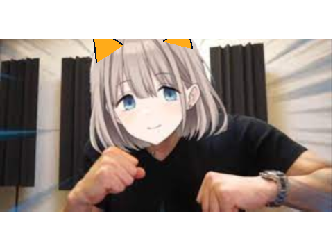 左フック猫耳あさひ