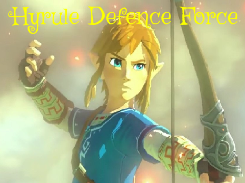 Hyrule Defence Force