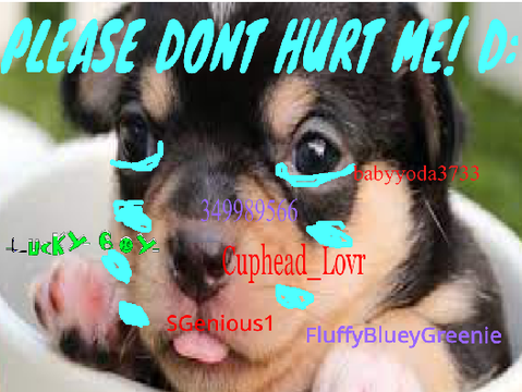 Sign If You Don’t Like Animal Cruelty Remix (5) remix
