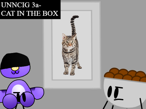 UNNCIG 3a- Cat in the Box