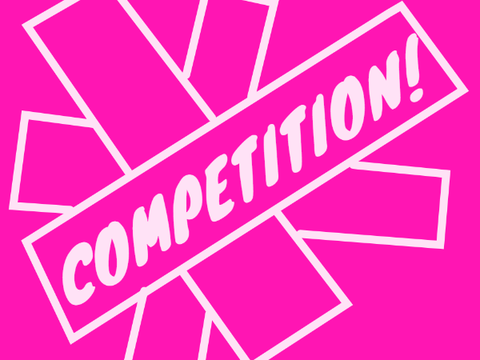 COMPETITION TheAmazingMouse2013