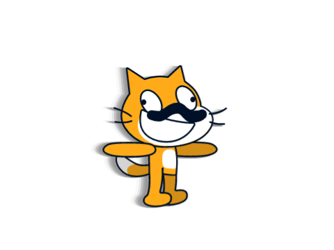funni scresh cat