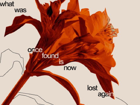 Lost