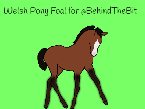 Welsh Pony Foal for @BehindTheBit