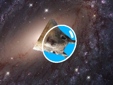 The Squirrel 2