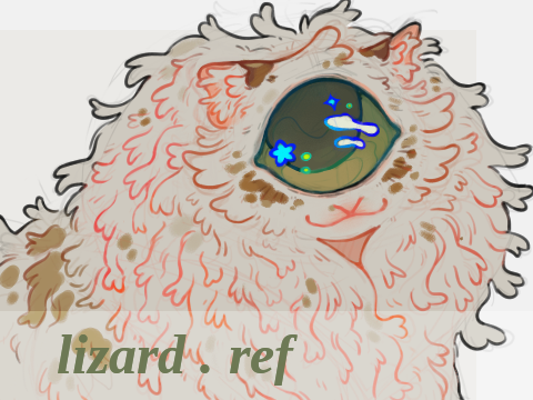 lizard