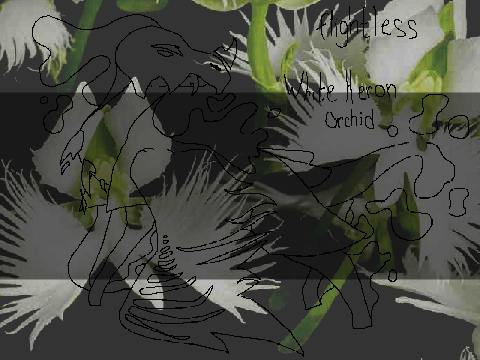 What was supposed to be a DTA -> I'm inactive so I'll post it as art.