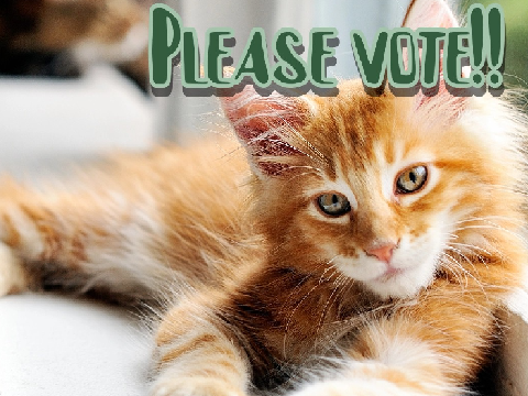 Please Vote!!
