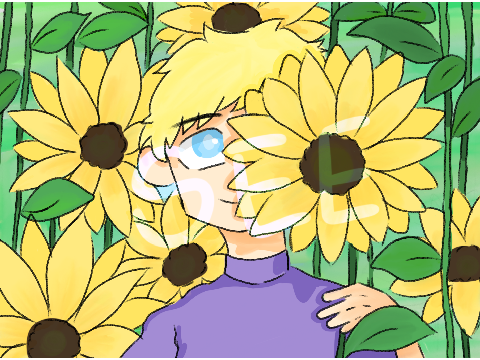 Sunflowers 