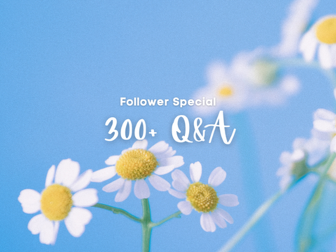 300+ Q&A