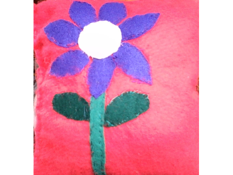 pillow I made 