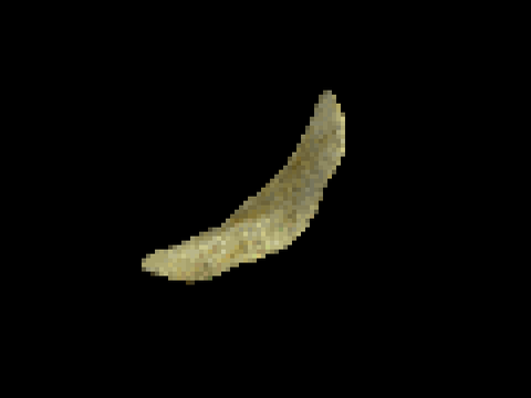 chip