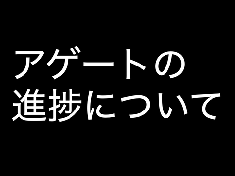 【お待たせしました】アゲートについて