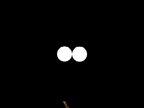 Hapuakorari