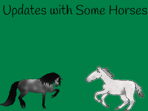 Updates With Some Horses <3