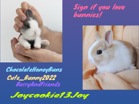 Add on if you love rabbits! remix