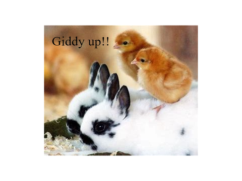Easter Slideshow remix