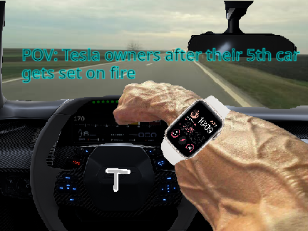 Tesla Owners be like