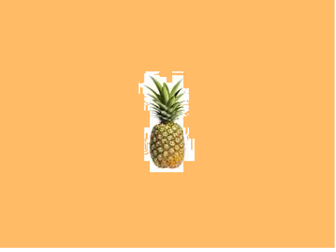 Pineapple Pen