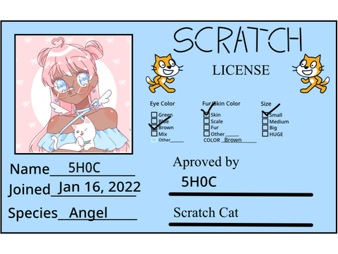 My Scratch License